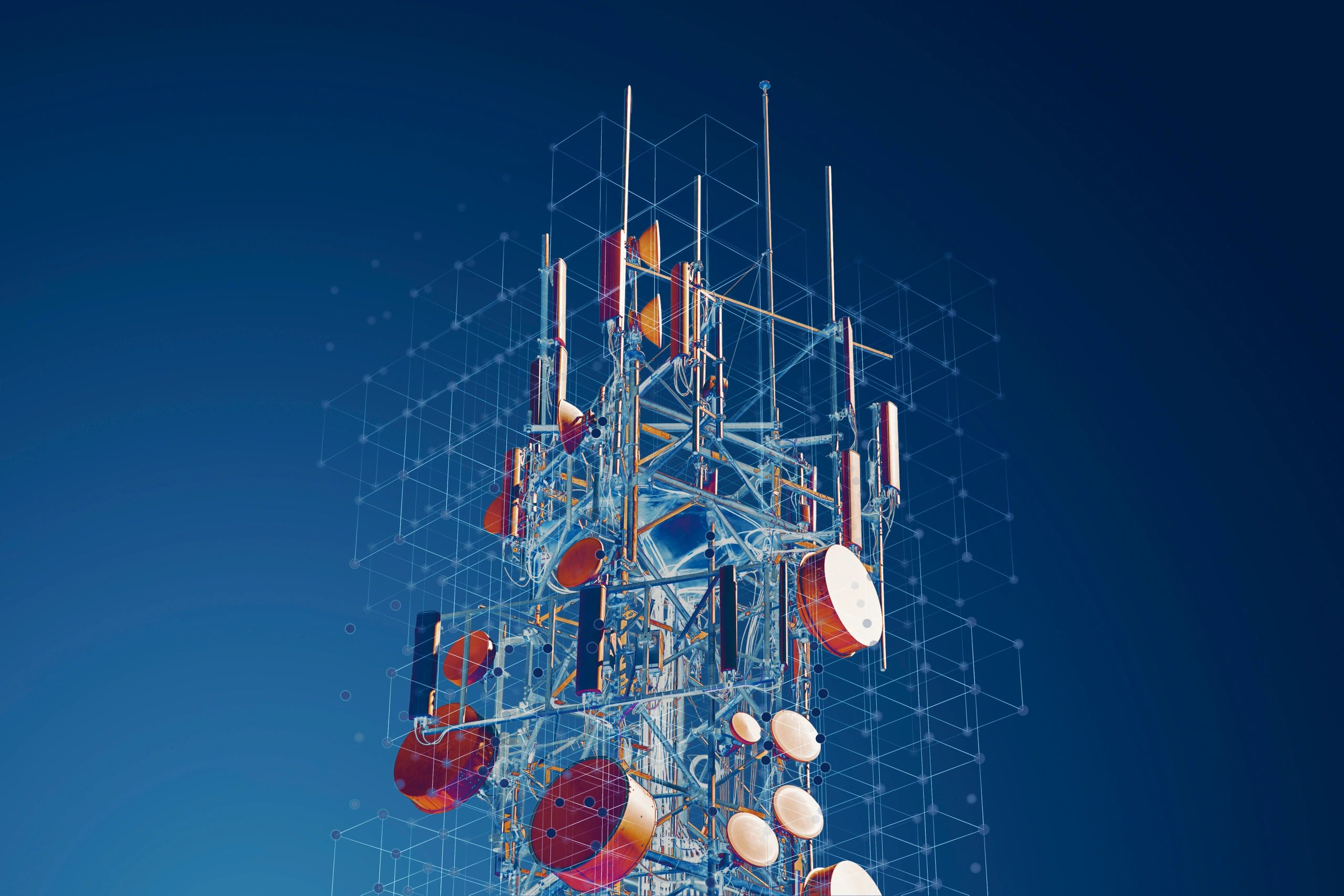 Service image